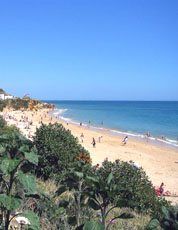 Portuguese language courses & schools abroad Faro Portugal