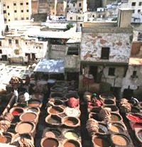 Arabic abroad fez Morocco