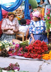 Spanish language course in OAXACA Mexico